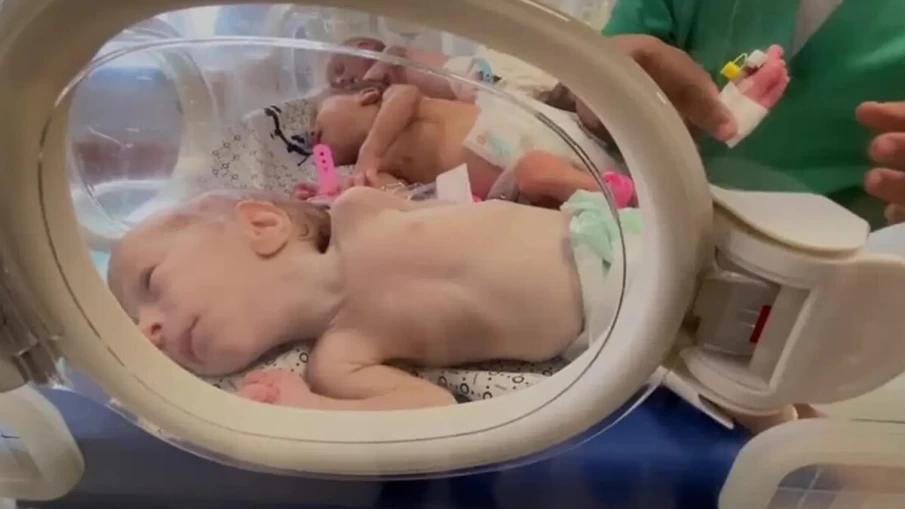 14 mil bebês podem morrer em Gaza em 48 horas se Israel não permitir ajuda