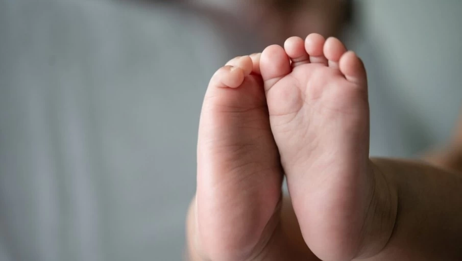 https://www.cdn.goiascapital.com/images/A mãe entrou em luta corporal para impedir que o filho fosse levado