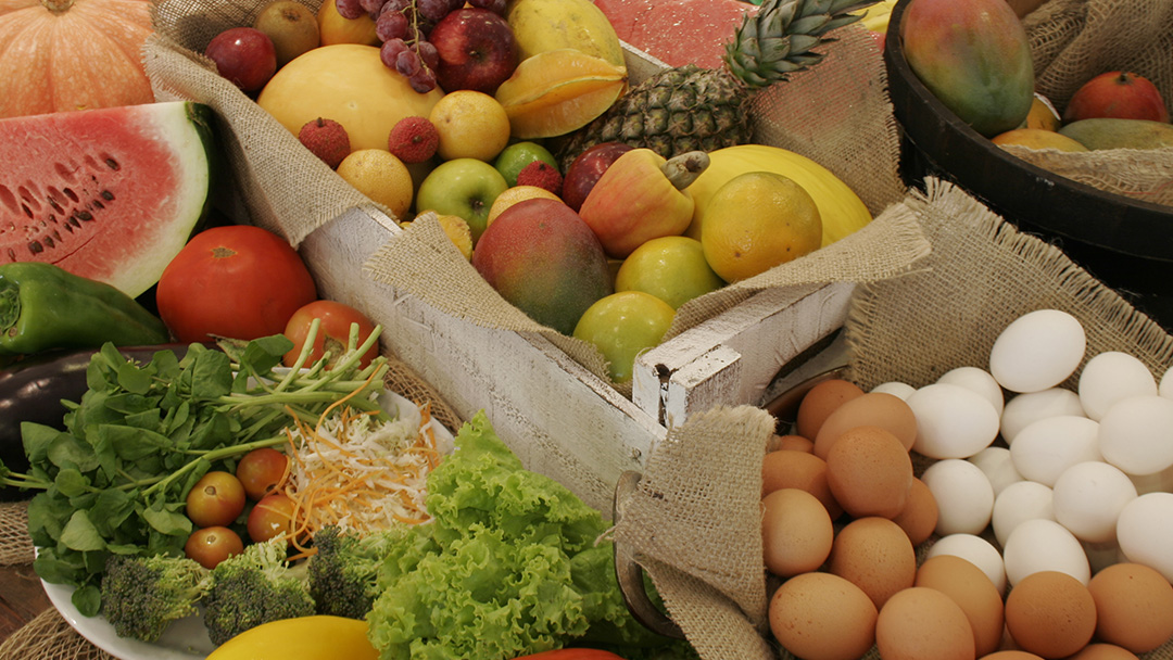Alimentos