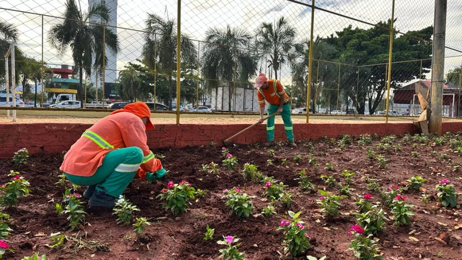 https://www.cdn.goiascapital.com/images/Equioes da COMURG fazendo o plantio