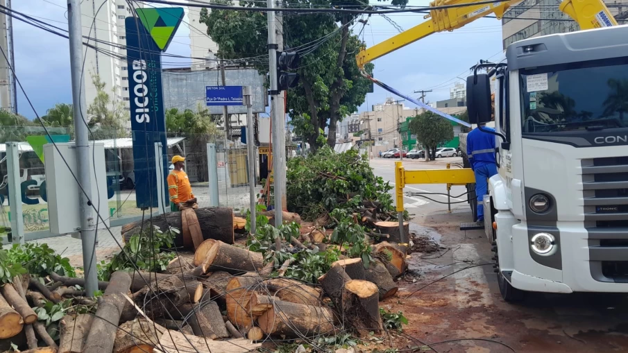 Equipes removendo as árvores que caíram na capital