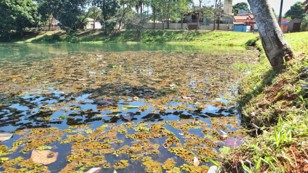Jardim Botânico