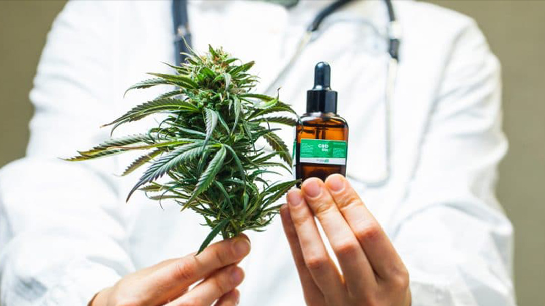 Maconha Medicinal
