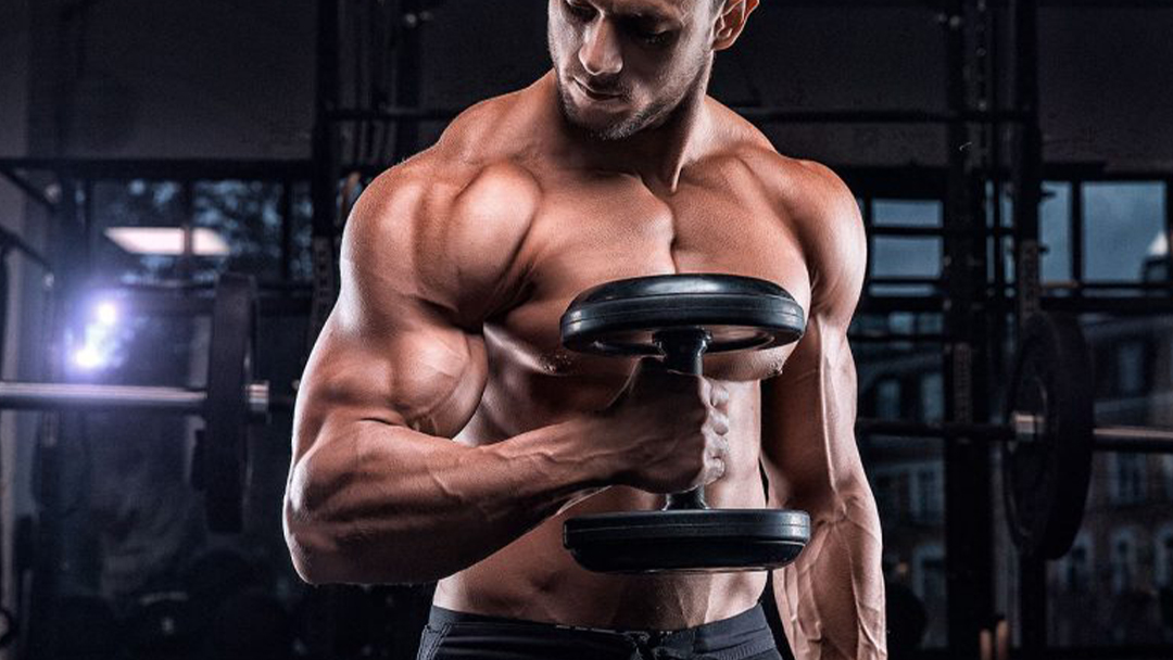 Musculação